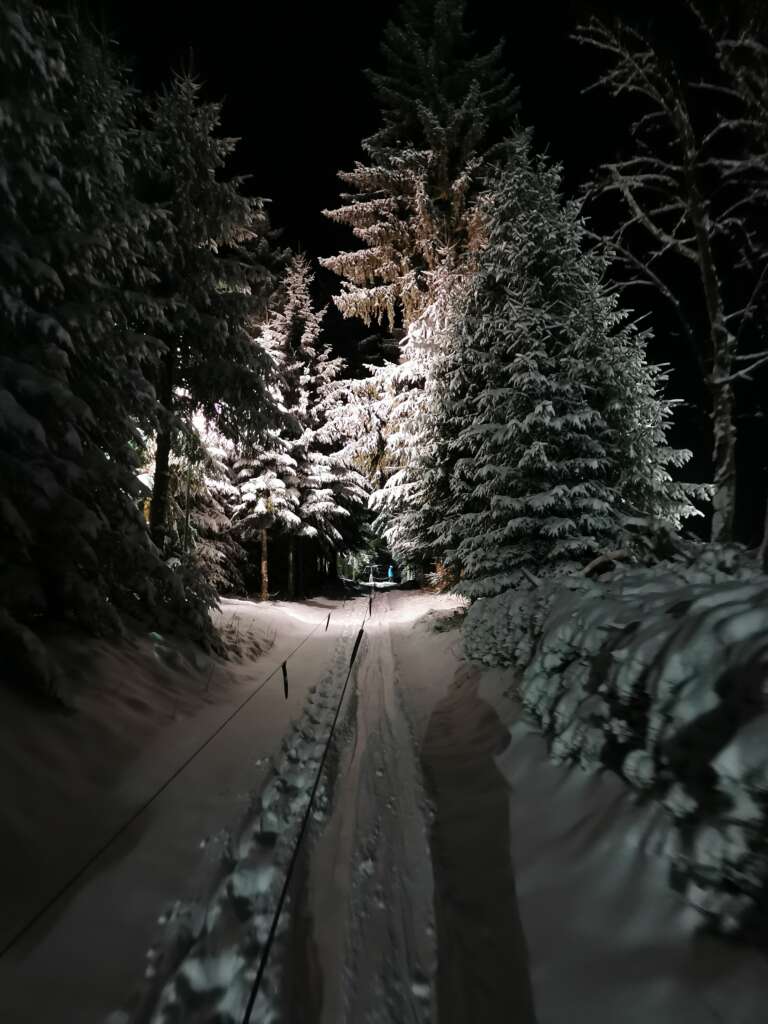 Die Lifttrasse im verschneiten Wald