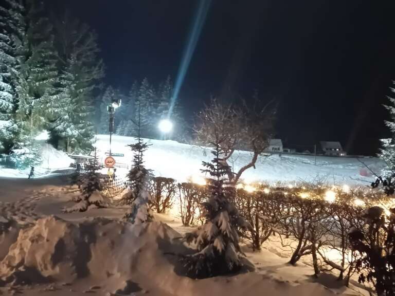 Lichterkette an der Hecke, dahinter der Hang im Flutlicht
